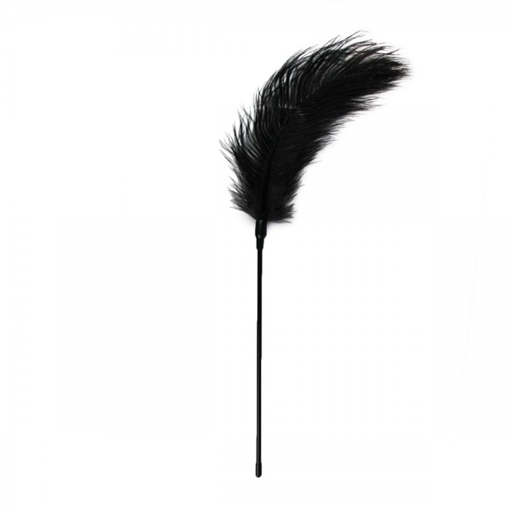 Black Feather Tickler