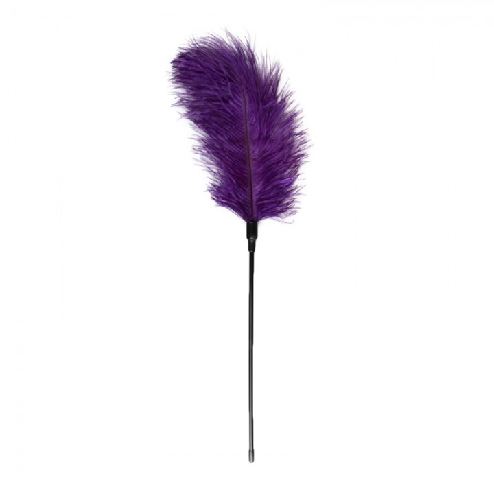 Purple Feather Tickler - Easytoys Fetish Collection