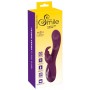 Triušio vibratorius Sweet Smile Rabbit Vibe