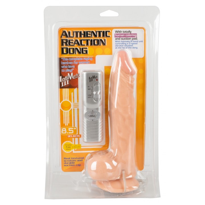 NMC - Auth. Reaction Dong - Vibrators