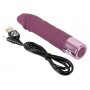 Mini Vibrators You2Toys Elegant Series Realistic Vibe