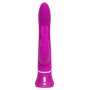 Vibrators Happyrabbit, violets