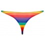 Vīriešu biksītes Rainbow Svenjoyment, XXL, 2XL