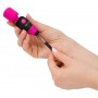 Palm Power Pocket Masieris Vibrators