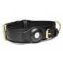 Tracking Collar - Black - Master Series