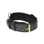 Tracking Collar - Black - Master Series