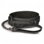 Fetish collar with leash