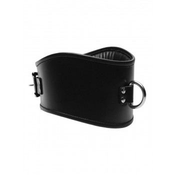 Padded Leather Locking Posture Collar