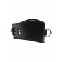 Padded Leather Locking Posture Collar