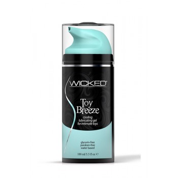 Lubrikants seksa rotaļlietām Toy Breeze Wicked, 100ml